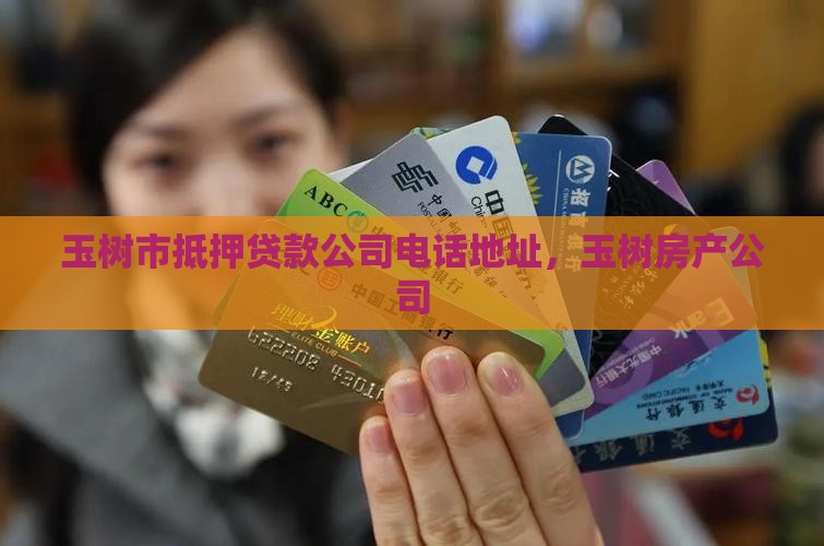 玉树市抵押贷款公司电话