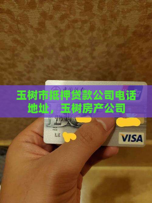 玉树市抵押贷款公司电话