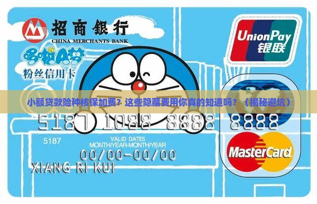 小额贷款险种核保加费