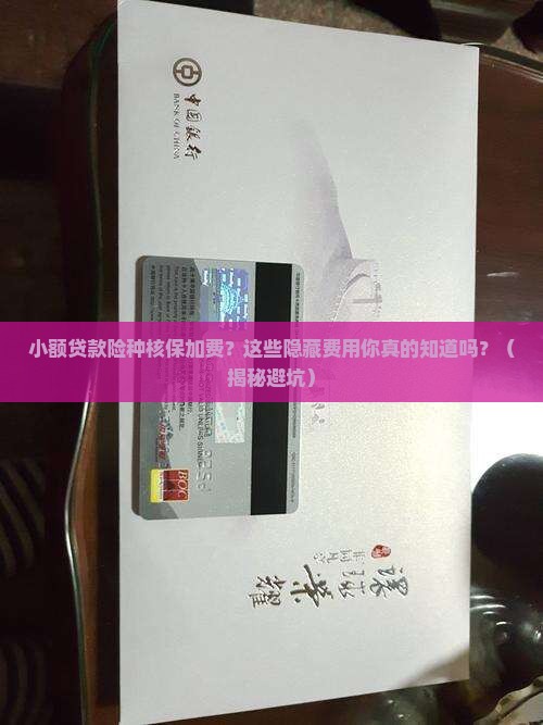 小额贷款险种核保加费