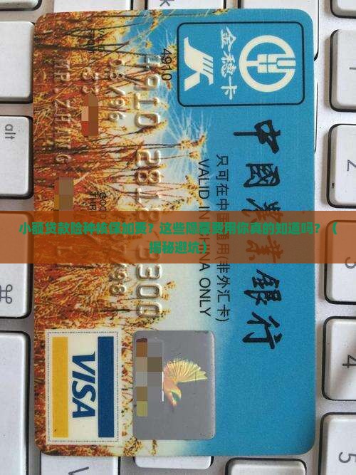 小额贷款险种核保加费