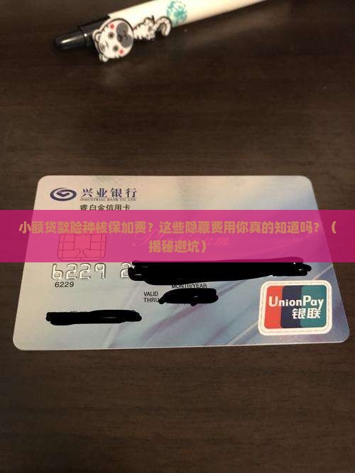小额贷款险种核保加费