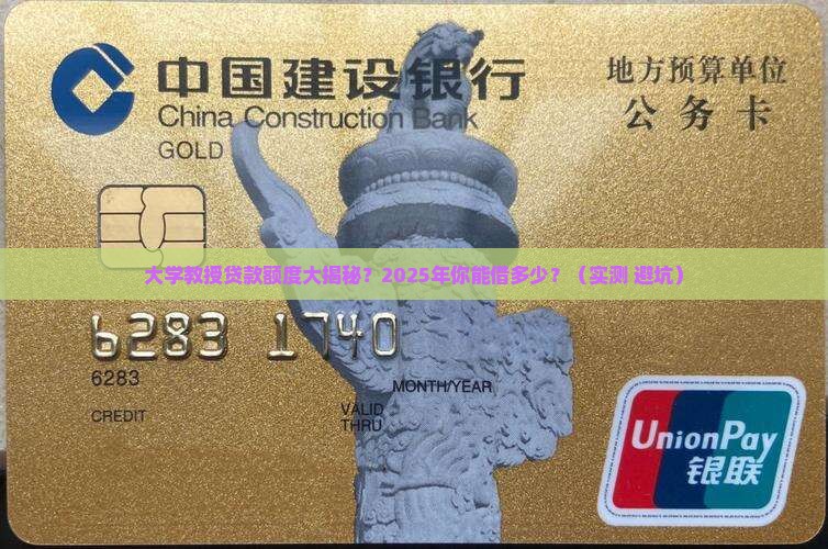 大学教授信用贷款额度
