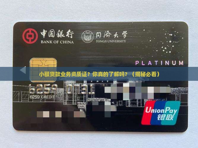 小额贷款业务资质证