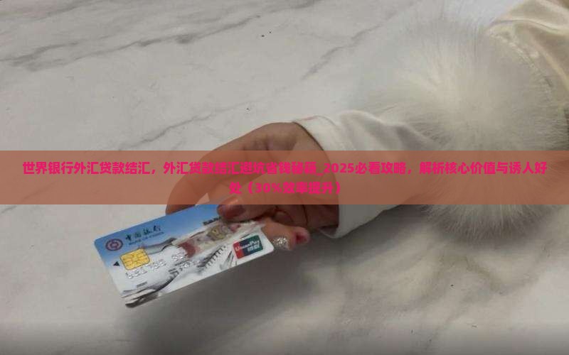 世界银行外汇贷款结汇