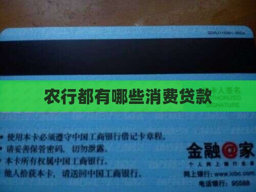 农行都有哪些消费贷款