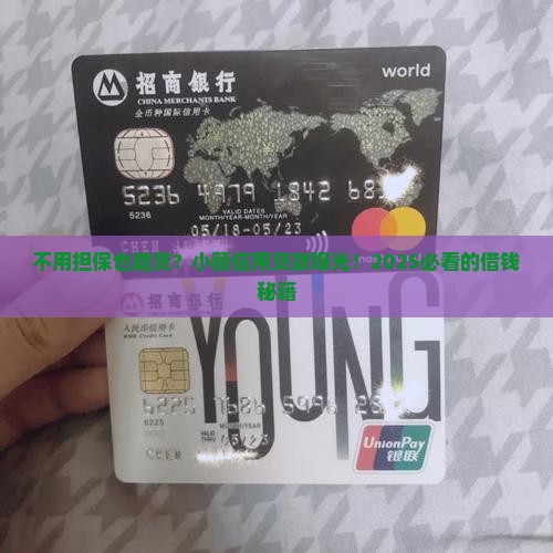 免担保小额信用贷款