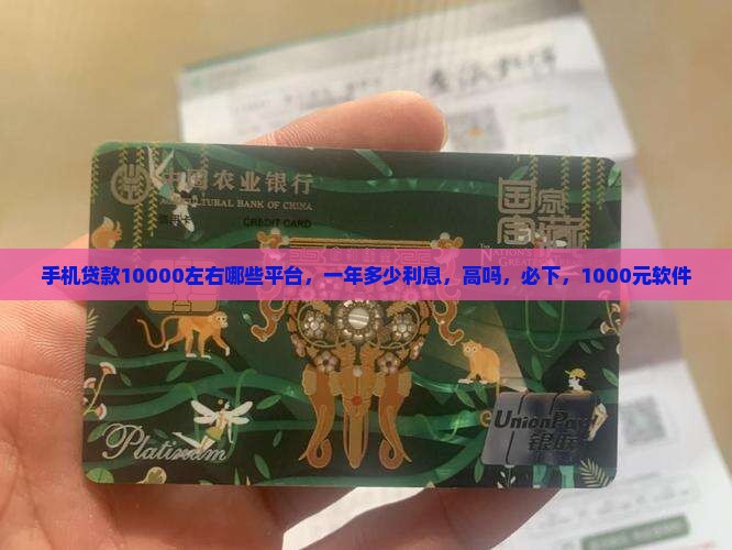 手机贷款10000