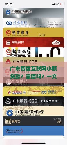 广东智度互联网小额贷款