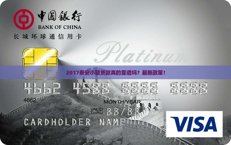 2017泰安小额贷款