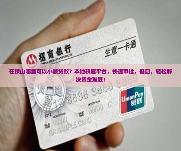 在保山哪里可以小额贷款