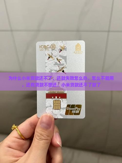 为什么小米贷款还不了