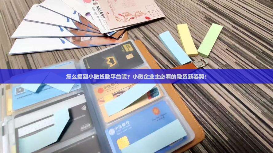 怎么搞到小微贷款平台呢