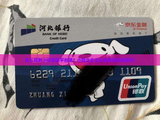 怎么搞到小微贷款平台呢