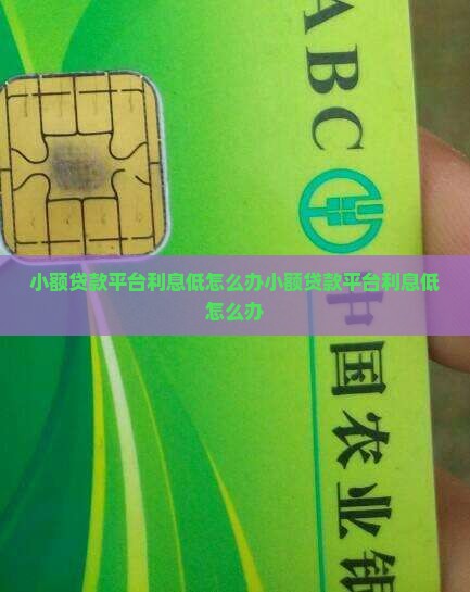 小额贷款平台利息低怎么办