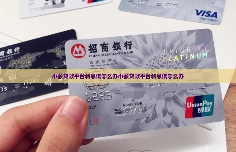 小额贷款平台利息低怎么办
