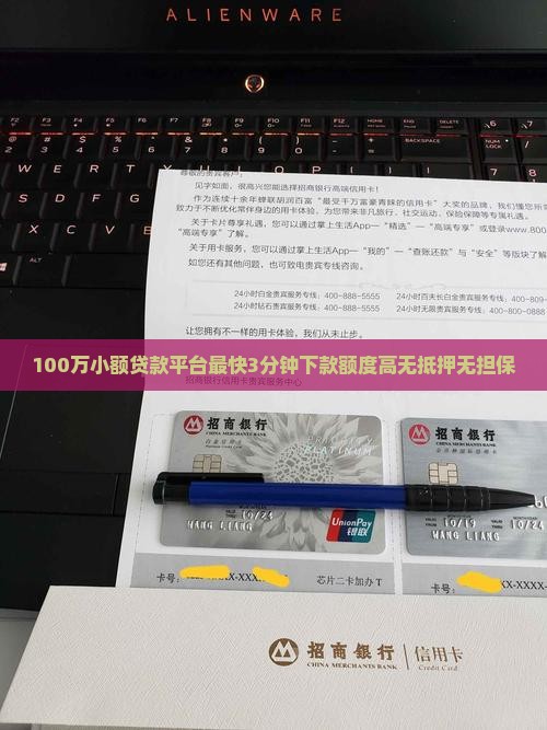 100万小额贷款平台