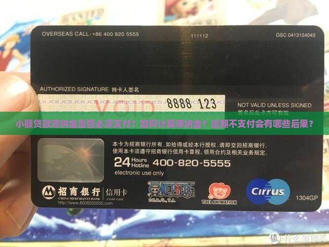小额贷款滞纳金是否必须支付？如何计算滞纳金？逾期不支付会有哪些后果？