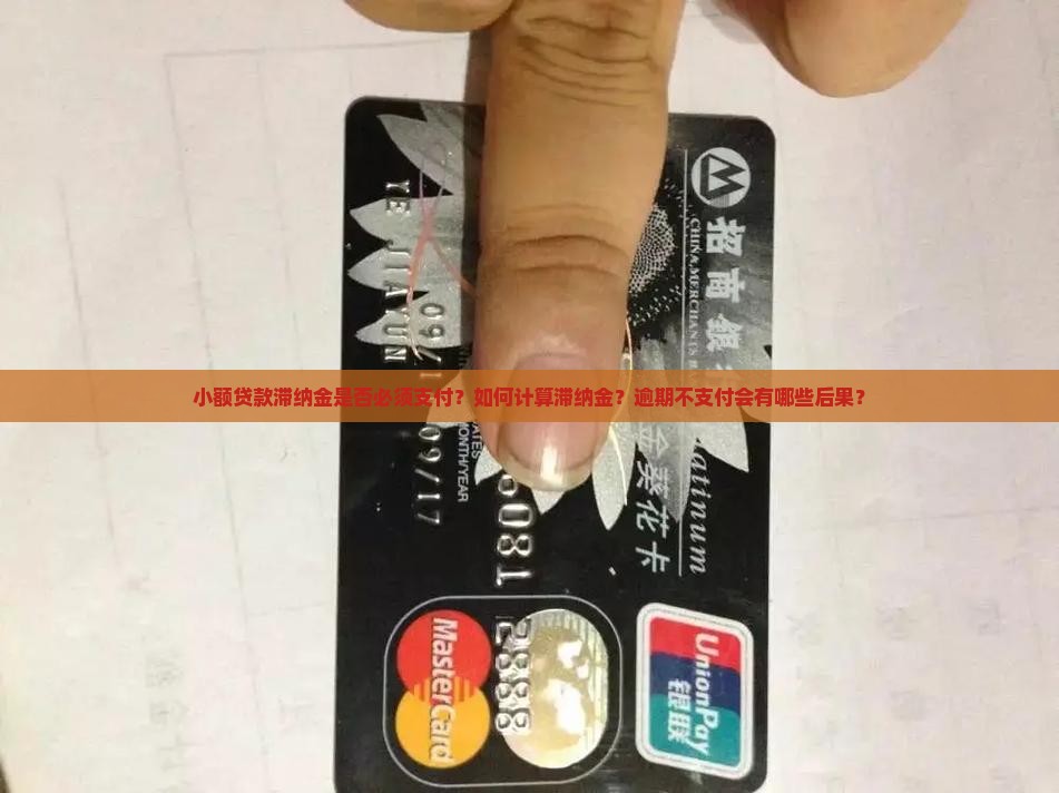 小额贷款滞纳金是否必须支付？如何计算滞纳金？逾期不支付会有哪些后果？