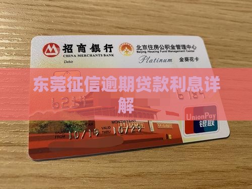 东莞征信逾期贷款利息详解