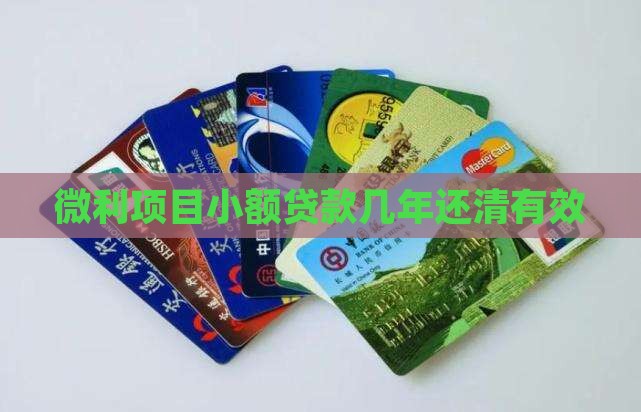 微利项目小额贷款几年还清有效