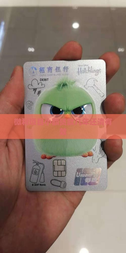 微利项目小额贷款几年还清有效