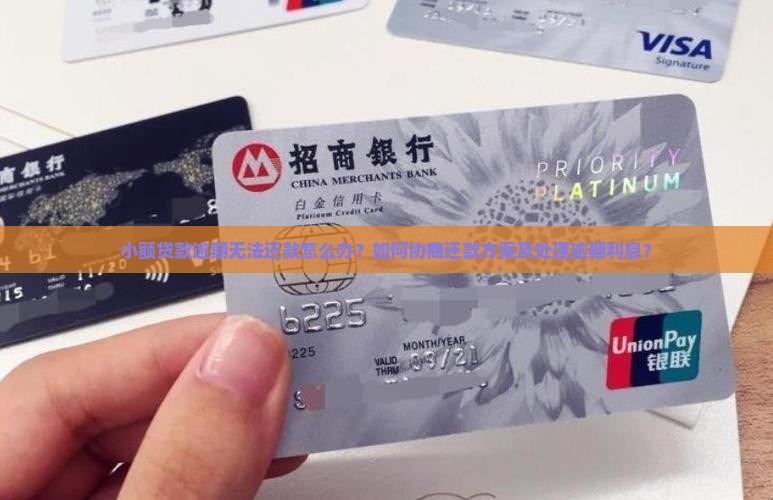 小额贷款逾期无法还款怎么办？如何协商还款方案及处理逾期利息？
