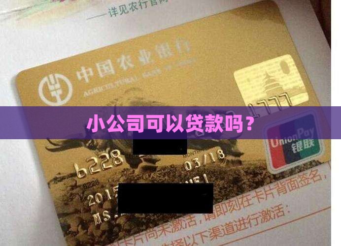 小公司可以贷款吗? 小公司可以贷款吗?