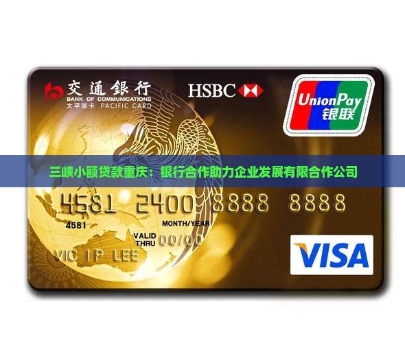 三峡小额贷款重庆：银行合作助力企业发展有限合作公司