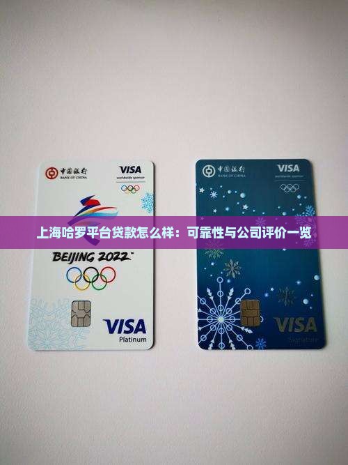 上海哈罗平台贷款怎么样：可靠性与公司评价一览