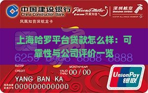 上海哈罗平台贷款怎么样：可靠性与公司评价一览