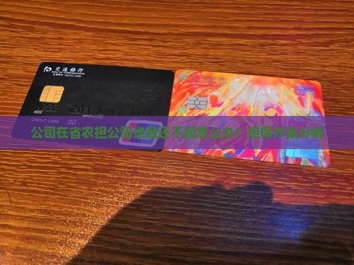 公司在省农担公司贷款还不起怎么办？担保方案分析