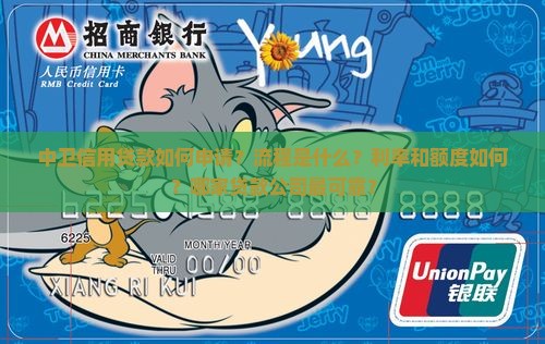 中卫信用贷款如何申请？流程是什么？利率和额度如何？哪家贷款公司最可靠？