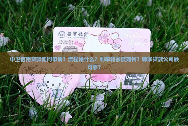 中卫信用贷款如何申请？流程是什么？利率和额度如何？哪家贷款公司最可靠？