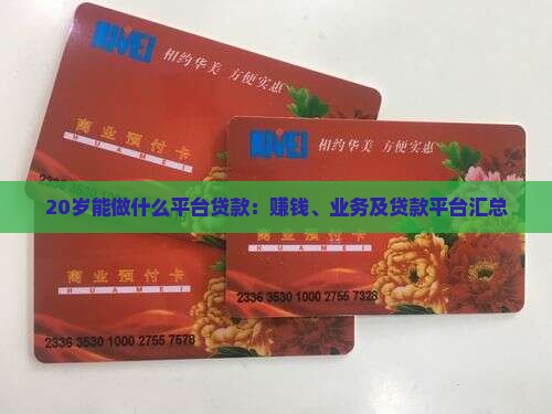 20岁能做什么平台贷款：赚钱、业务及贷款平台汇总