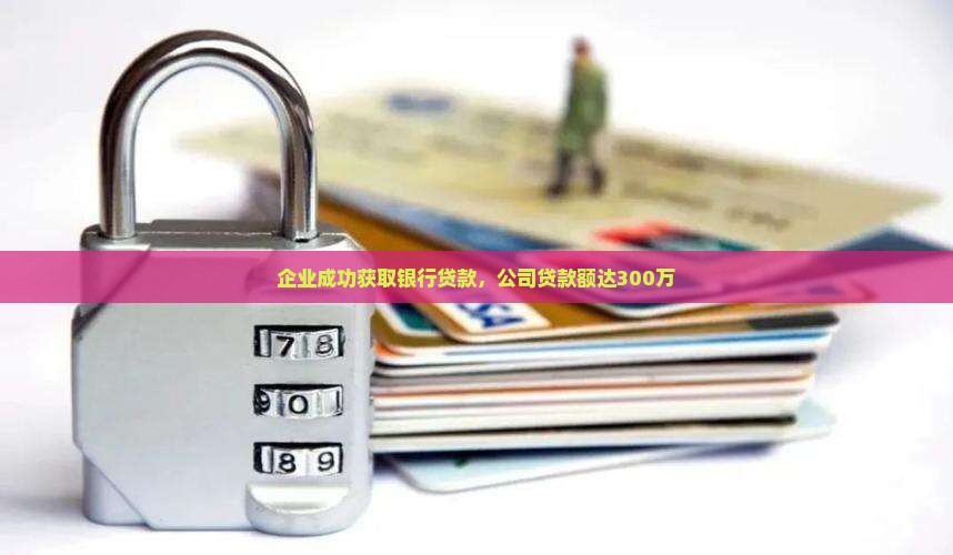 企业成功获取银行贷款，公司贷款额达300万