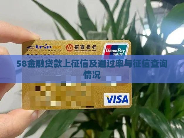 58金融贷款上征信及通过率与征信查询情况
