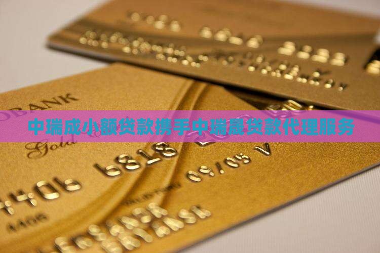 中瑞成小额贷款携手中瑞晟贷款代理服务
