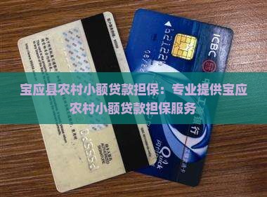 宝应县农村小额贷款担保：专业提供宝应农村小额贷款担保服务