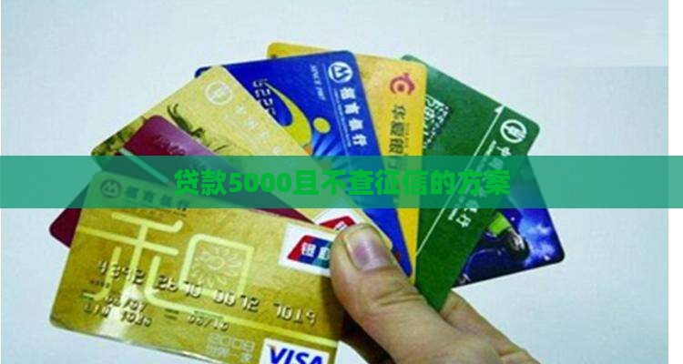 贷款5000且不查征信的方案