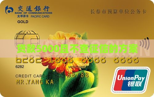 贷款5000且不查征信的方案