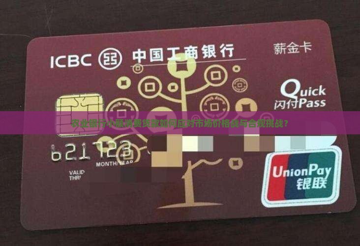 农业银行小额消费贷款如何应对市场价格战与合规挑战？