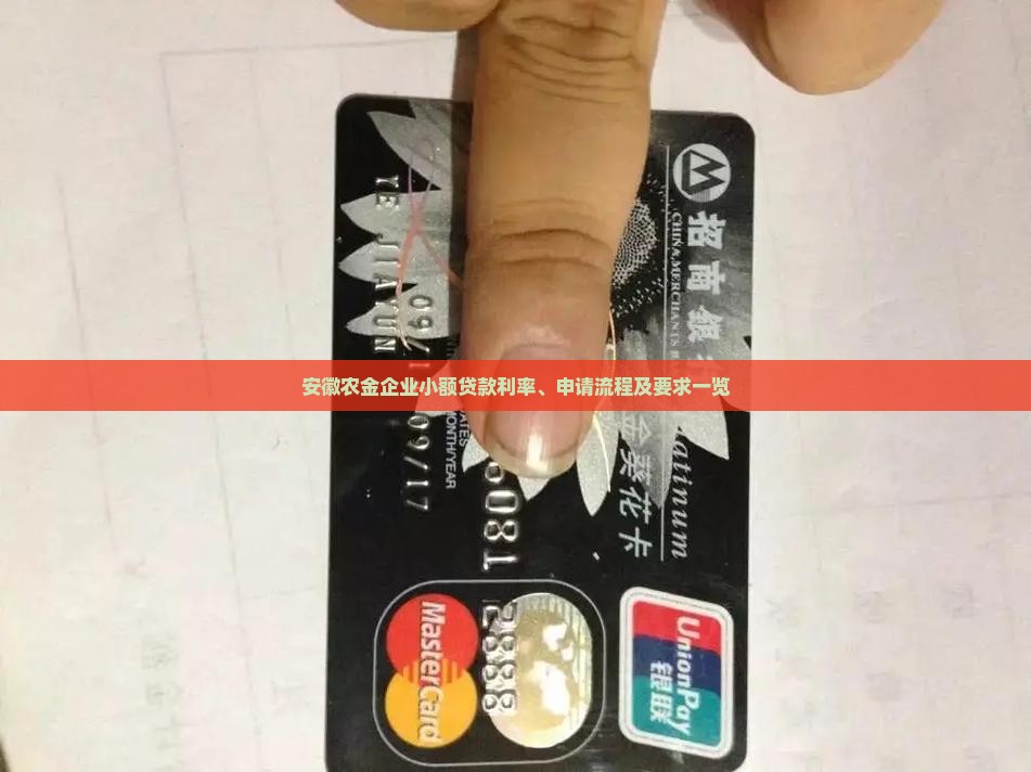 安徽农金企业小额贷款利率、申请流程及要求一览