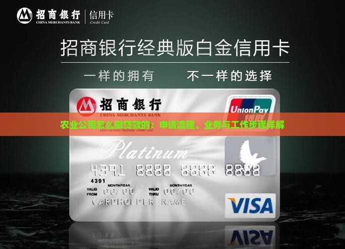 农业公司怎么做贷款的：申请流程、业务与工作步骤详解