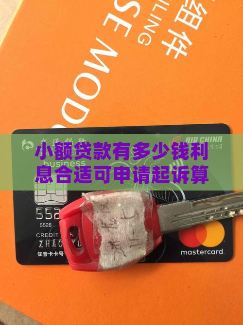 小额贷款有多少钱利息合适可申请起诉算小额