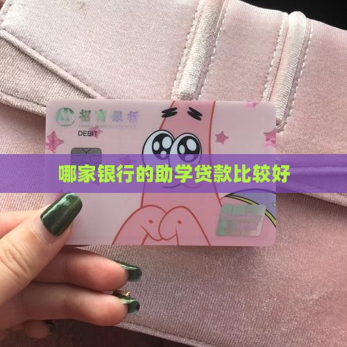 哪家银行的助学贷款比较好