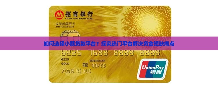如何选择小额贷款平台？探究热门平台解决资金短缺痛点