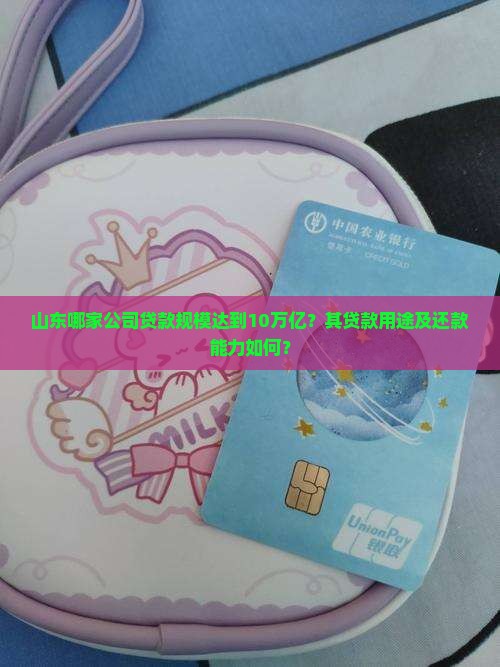 山东哪家公司贷款规模达到10万亿？其贷款用途及还款能力如何？