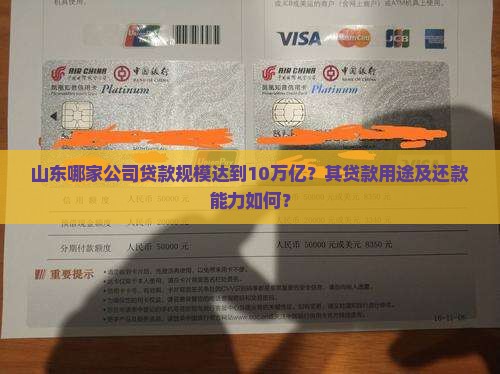 山东哪家公司贷款规模达到10万亿？其贷款用途及还款能力如何？