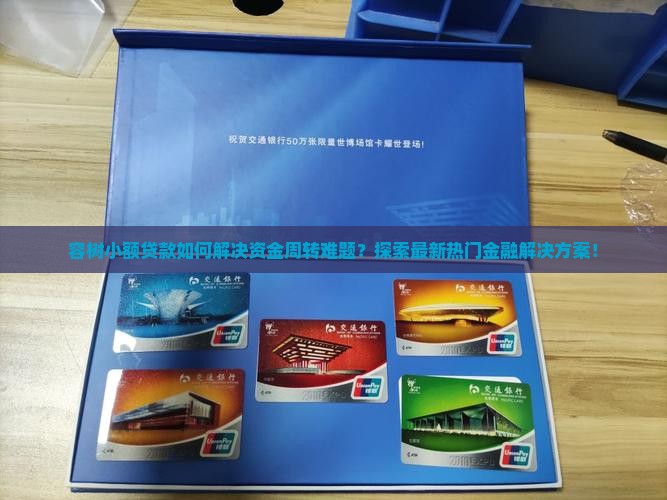 容树小额贷款如何解决资金周转难题？探索最新热门金融解决方案！